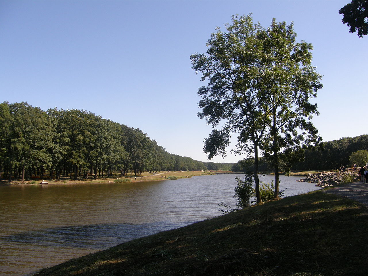 Forest Park